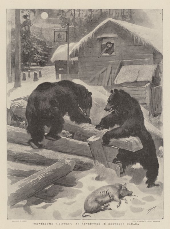 Unwelcome Visitors, egy kaland Észak-Kanadában alkotó: William Small