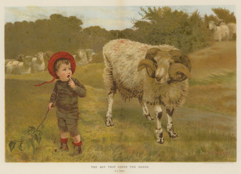 A fiú, aki hajtotta a bárányt (chromolitho) alkotó: William Weekes
