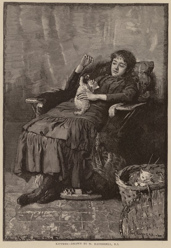 Cicák (metszet) alkotó: William (after) Hatherell