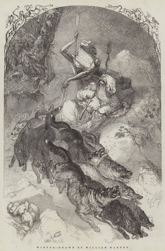 Téli alkotó: William Harvey