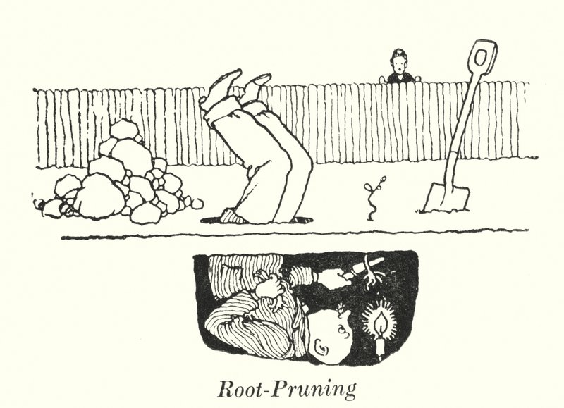 Gyökérmetszés (litho) alkotó: William Heath Robinson