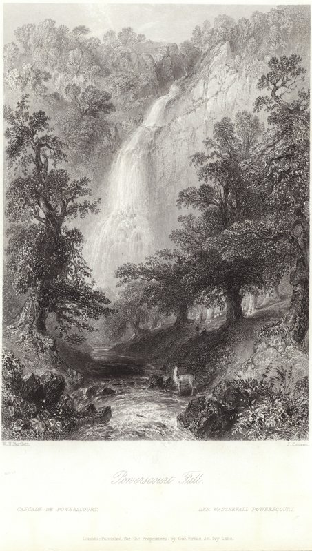 Powerscourt vízesés a Dargle folyón alkotó: William Henry Bartlett