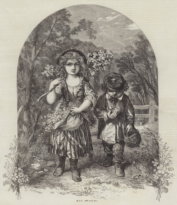 Lehet alkotó: William Stephen Coleman
