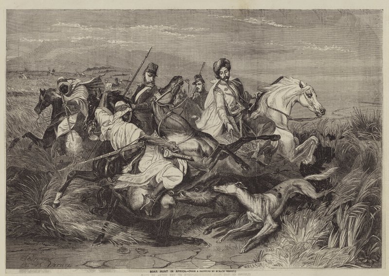 Vaddisznóvadászat Afrikában alkotó: after Horace Vernet